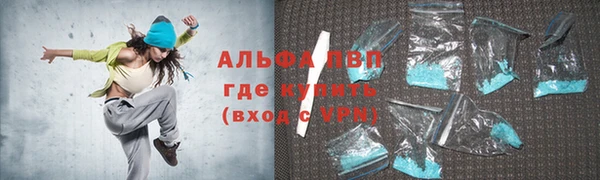 PSILOCYBIN Вяземский