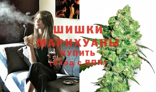PSILOCYBIN Вяземский