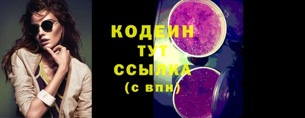 PSILOCYBIN Вяземский