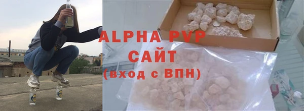 PSILOCYBIN Вяземский