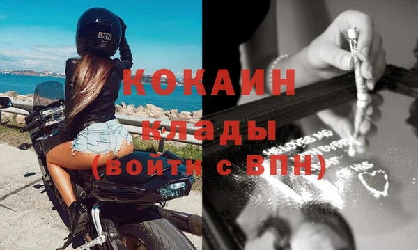 PSILOCYBIN Вяземский