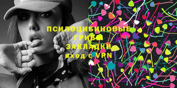 PSILOCYBIN Вяземский