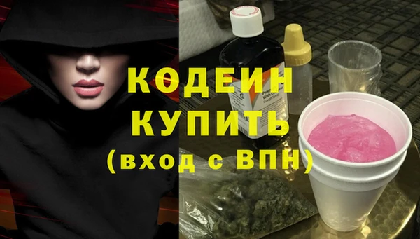 PSILOCYBIN Вяземский