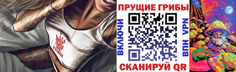 цены наркотик  Саратов  Галлюциногенные грибы Psilocybe 