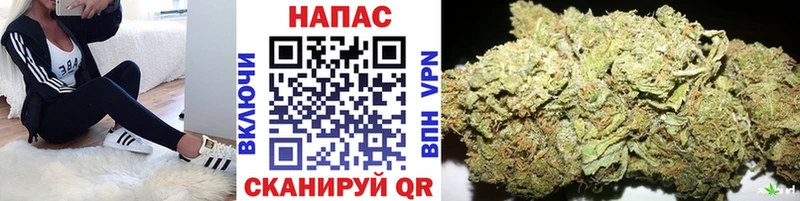 Каннабис планчик  гидра как войти  Саратов 
